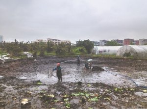 丰宁河道鱼塘清淤